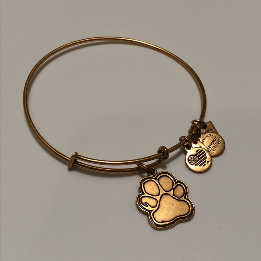 Alex and Ani Prints Of Love Bangle